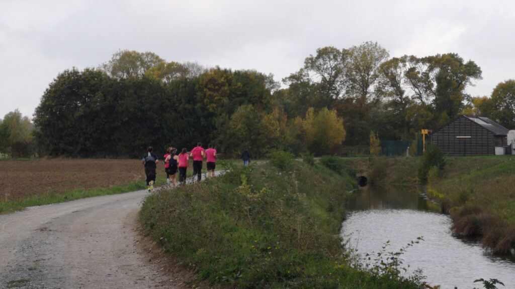 Le groupe en train de courir vue de loin